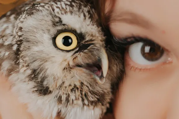 Kazino Lucky Tiger Atbalsts